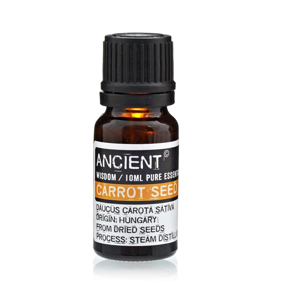 Polished 10 ml Carrot Seed Essential Oil featuring natural patterning and unique variations - Luna Panther