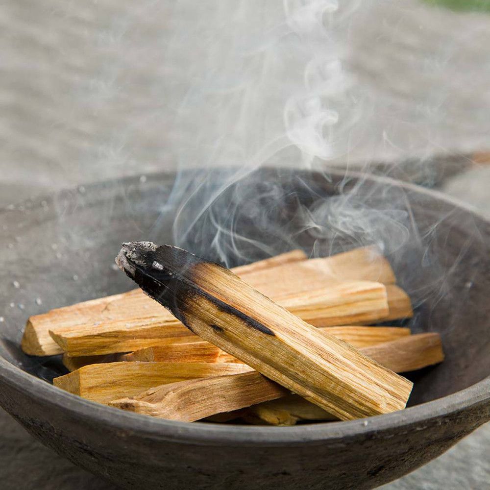 Polished 25g Green Tree Palo Santo Sticks 3-4 sticks featuring natural patterning and unique variations - Luna Panther