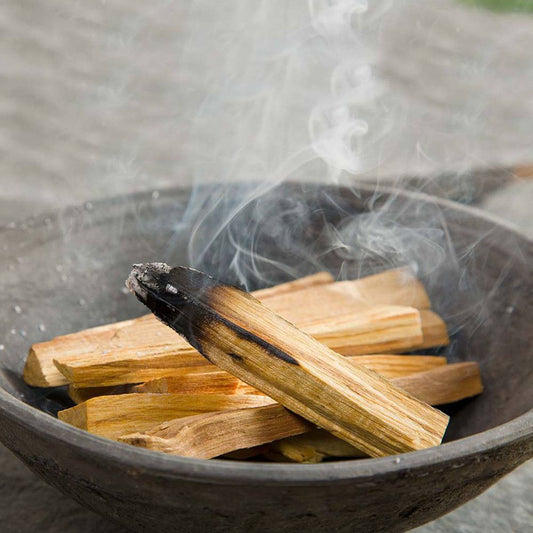 Polished 25g Green Tree Palo Santo Sticks 3-4 sticks featuring natural patterning and unique variations - Luna Panther