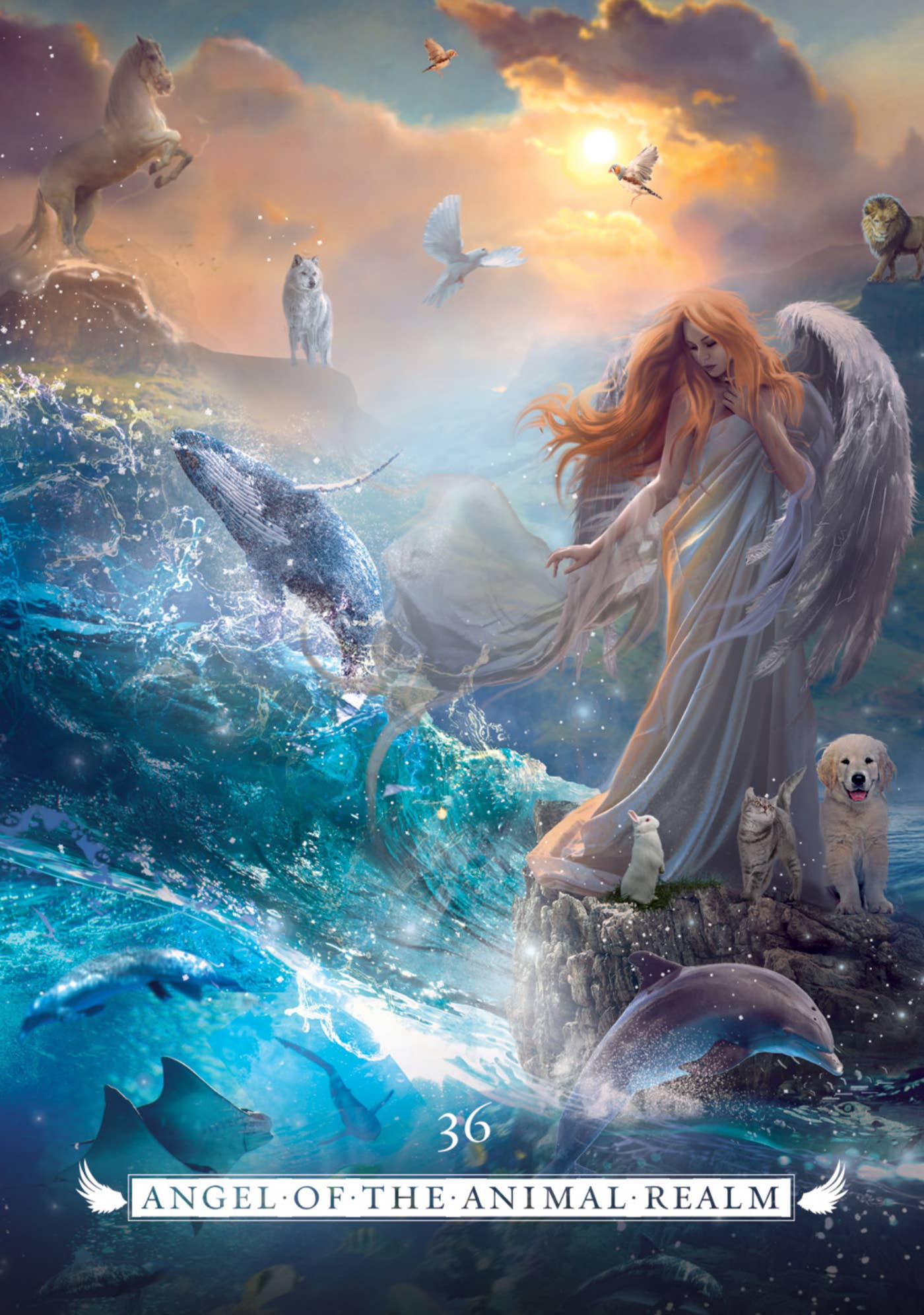 Angel Oracle
