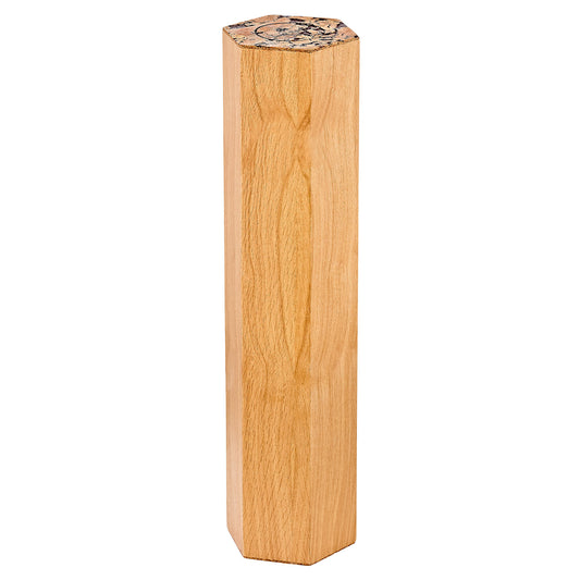 MEINL Sonic Energy Rainmaker, ≈ 15 min, Oak at Luna Panther