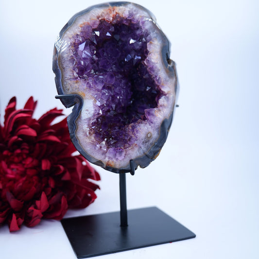 Agate Geode Brazil 1141 grams - Luna Panther