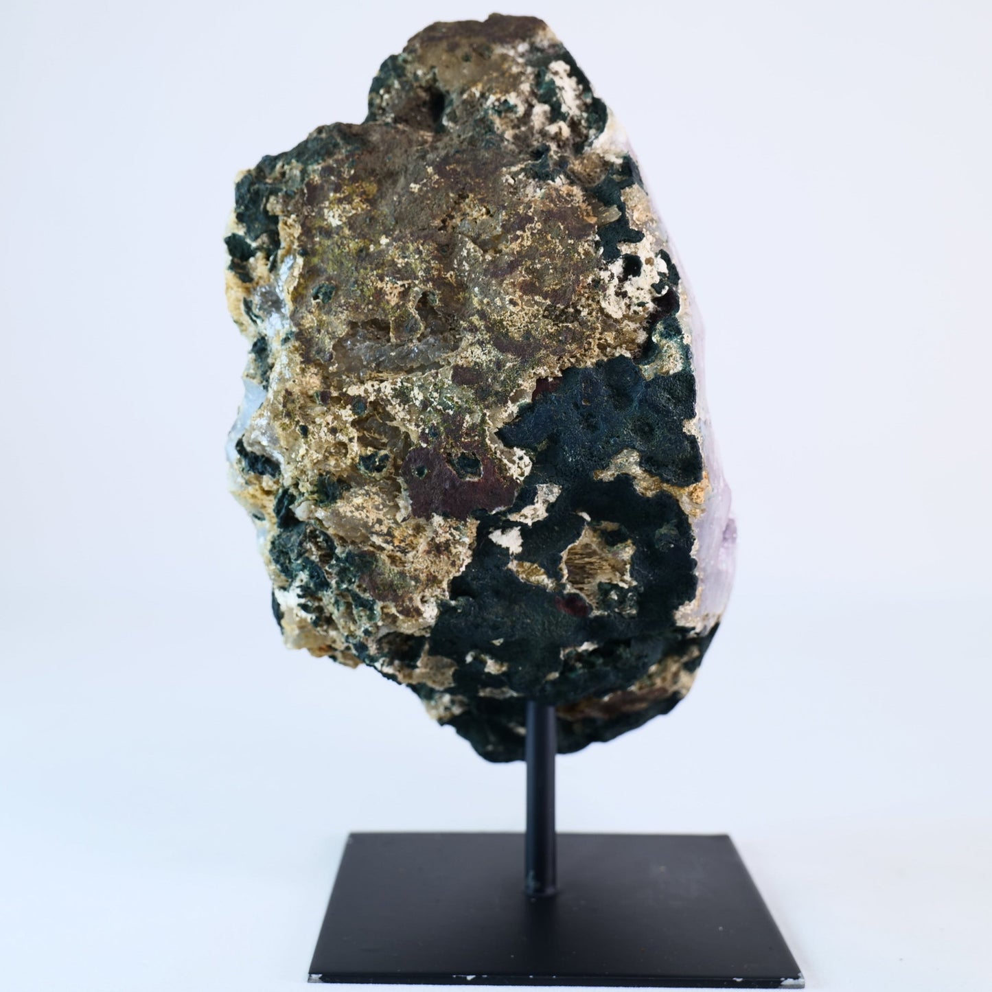 Agate Geode – Brazilian Amethyst on Stand - Luna Panther