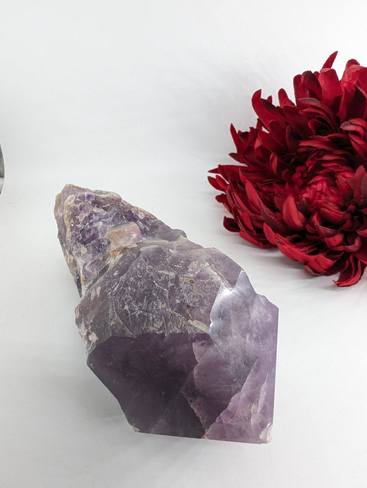 Polished Amethyst Dragon Tooth 900g featuring rich purple colour and natural clarity - Luna Panther