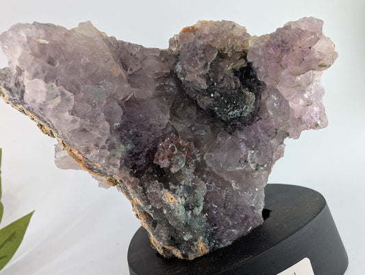 Polished Amethyst Flower 389 grams featuring rich purple colour and natural clarity - Luna Panther
