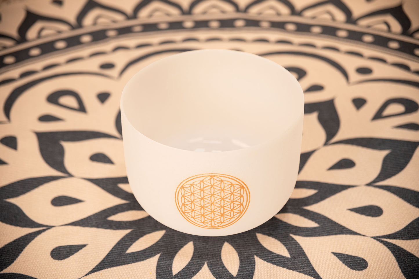 MEINL Sonic Energy Crystal Singing Bowl 10" - Flower of Life/128Hz detail view 5 at Luna Panther