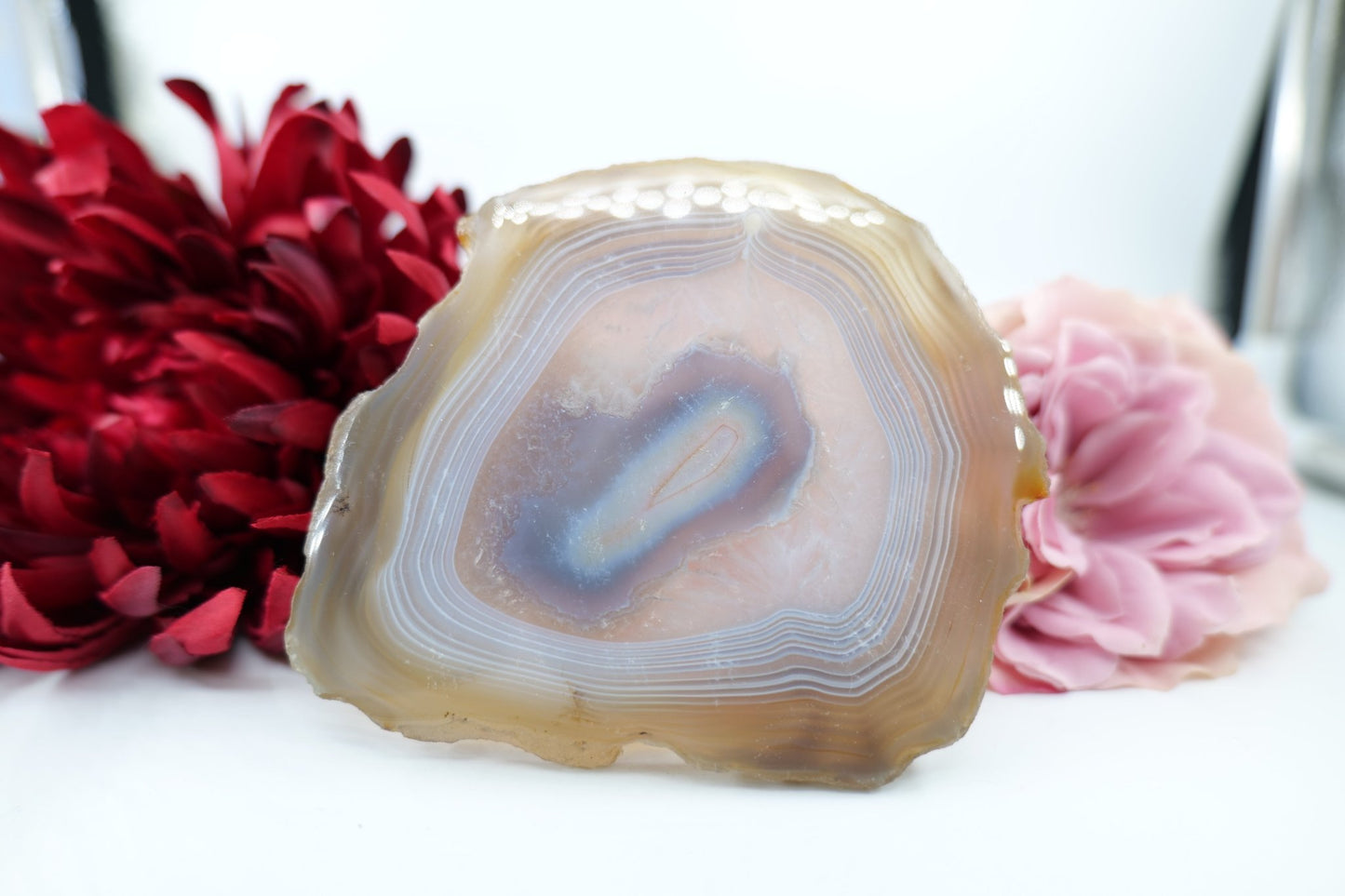 Polished Banded Fortification Agate Slice (190g) featuring banded patterns and glossy finish - Luna Panther