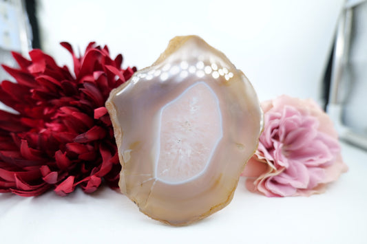 Polished Banded Fortification Agate Slice (225g) featuring banded patterns and glossy finish - Luna Panther