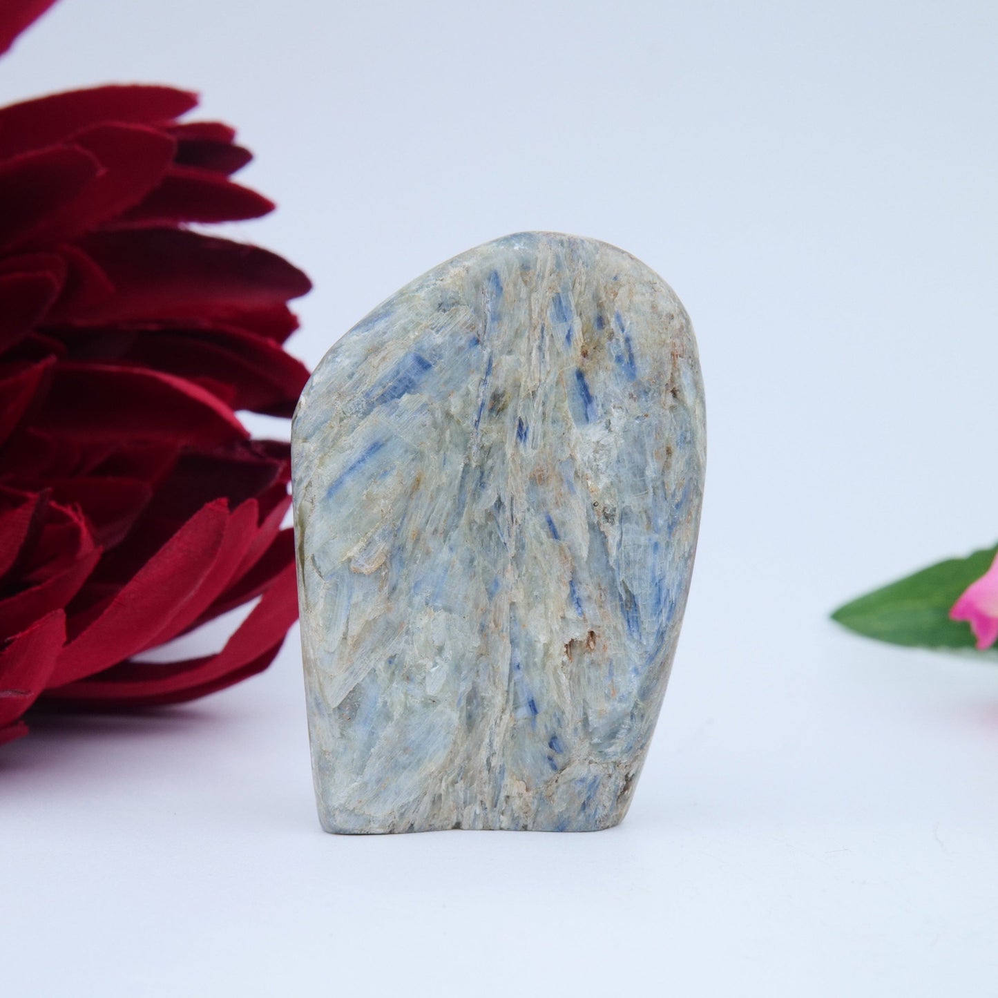 Blue Kyanite Freeform — 100 g (60 mm) - Luna Panther