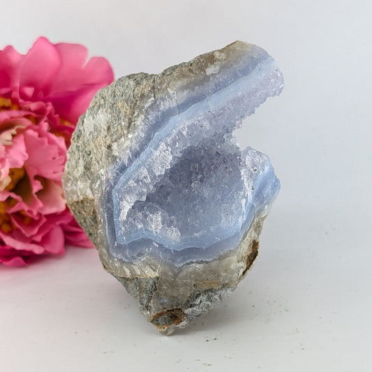Natural Blue Lace Agate Geode Specimen 330g featuring pale blue banding and soft translucence - Luna Panther