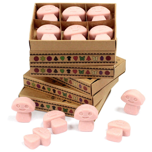 Box of 6 Wax Melts - Coffee Trader - Luna Panther