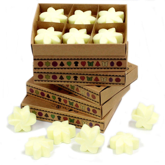Box of 6 Wax Melts - Lemon Harvest - Luna Panther alternate view