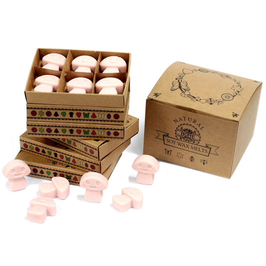 Box of 6 Wax Melts - Old Ginger - Luna Panther alternate view