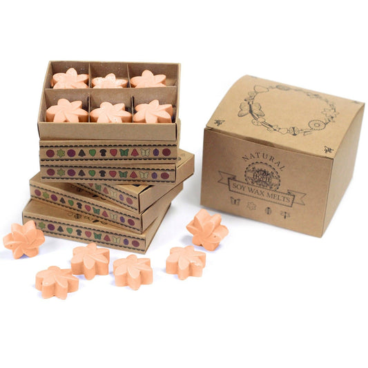 Box of 6 Wax Melts - Tuberose - Luna Panther