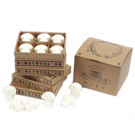 Box of 6 Wax Melts - White Musk - Luna Panther