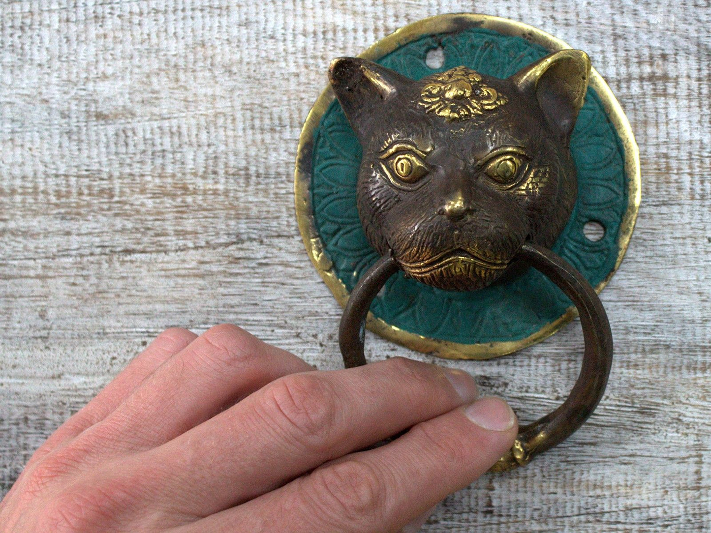 Brass Door Knocker - Cats Head - Luna Panther