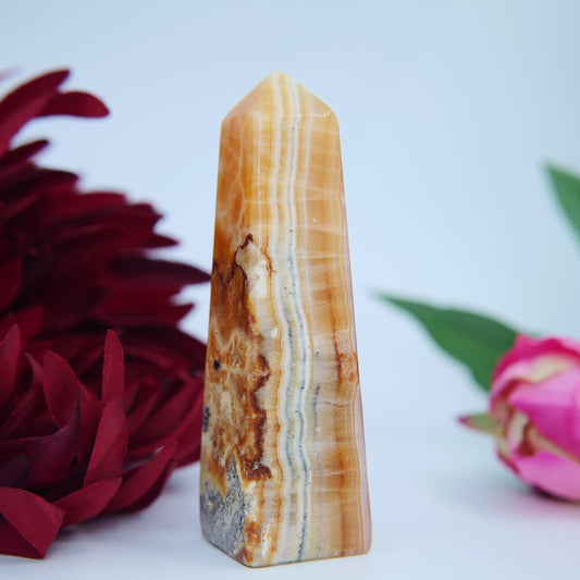 Brown Aragonite Tower — 146g (Pakistan) - Luna Panther