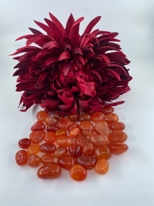 Polished Carnelian Small - Tumble Stone featuring vibrant orange tone and smooth polish - Luna Panther