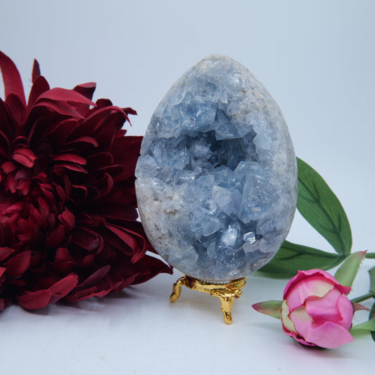 Polished Celestite Crystal Egg 1100g featuring pale sky-blue tone and soft translucence - Luna Panther