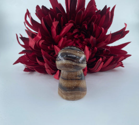 Polished Chocolate Calcite Mushroom 95grams featuring soft translucent tone and gentle sheen - Luna Panther