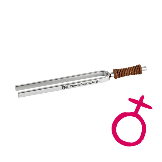 MEINL Sonic Energy Tuning Fork - Platonic Year - 172,06 Hz/F3 at Luna Panther