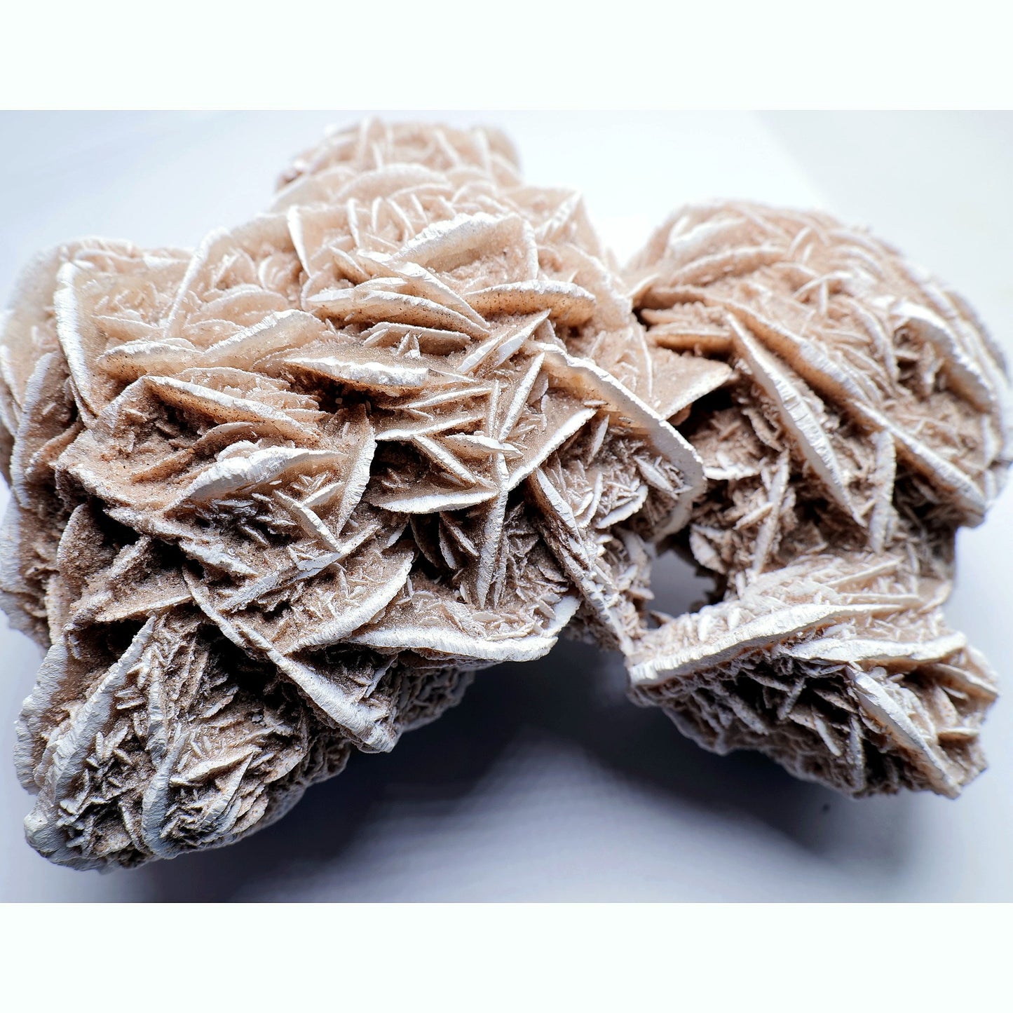 Desert Rose Gypsum - 527g - Luna Panther