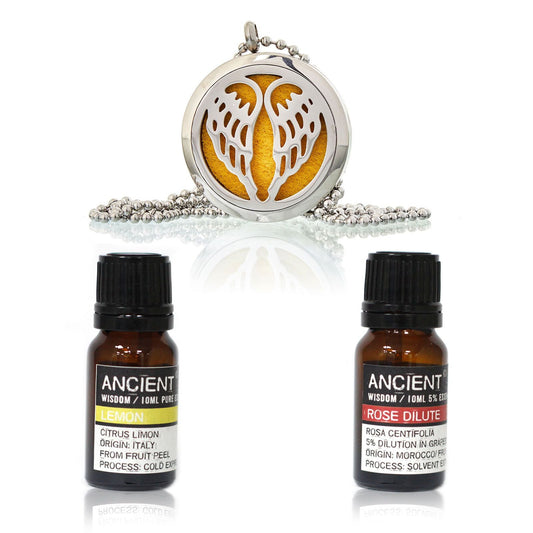Diffuser Necklace and Essential Oils Set - Luna Panther