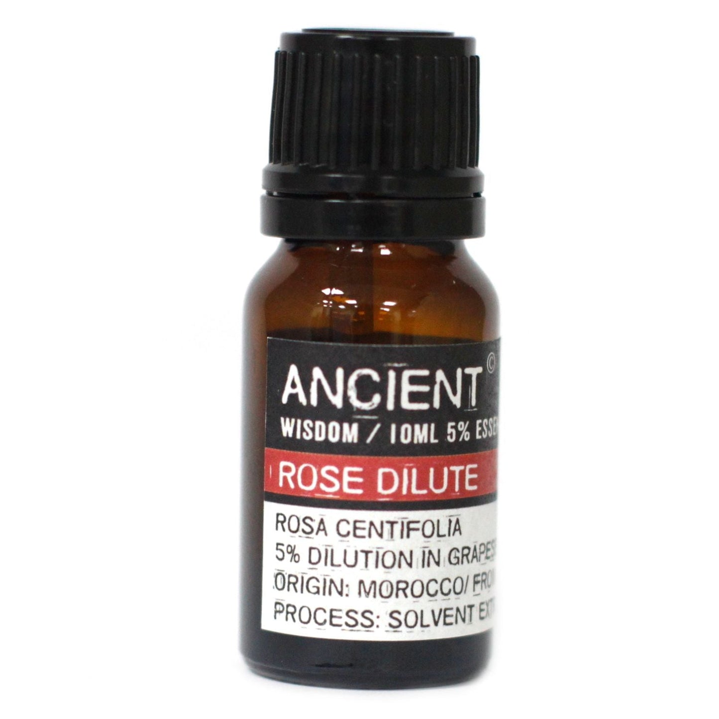 Diffuser Necklace and Essential Oils Set - Luna Panther