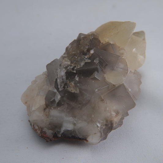 Dog Tooth Calcite Specimen 190g - Luna Panther