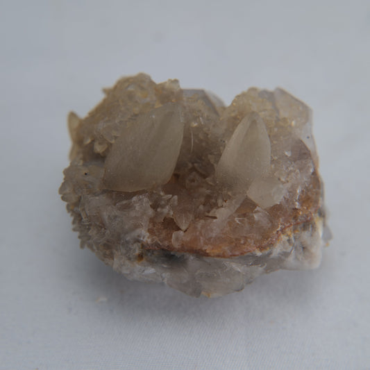 Dog Tooth Calcite Specimen 50g - Luna Panther