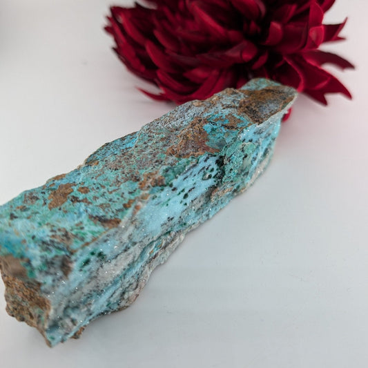 Natural Druzy Chrysocolla Dolomite with Malachite 340g featuring turquoise-blue tone with earthy matrix - Luna Panther