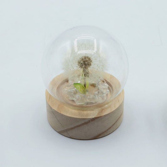 Floral Glow Garden Dome - 1 Dandelion - LED Battery - Luna Panther alternate view