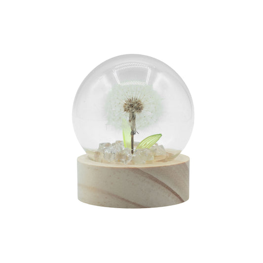 Floral Glow Garden Dome - 1 Dandelion - LED Battery - Luna Panther