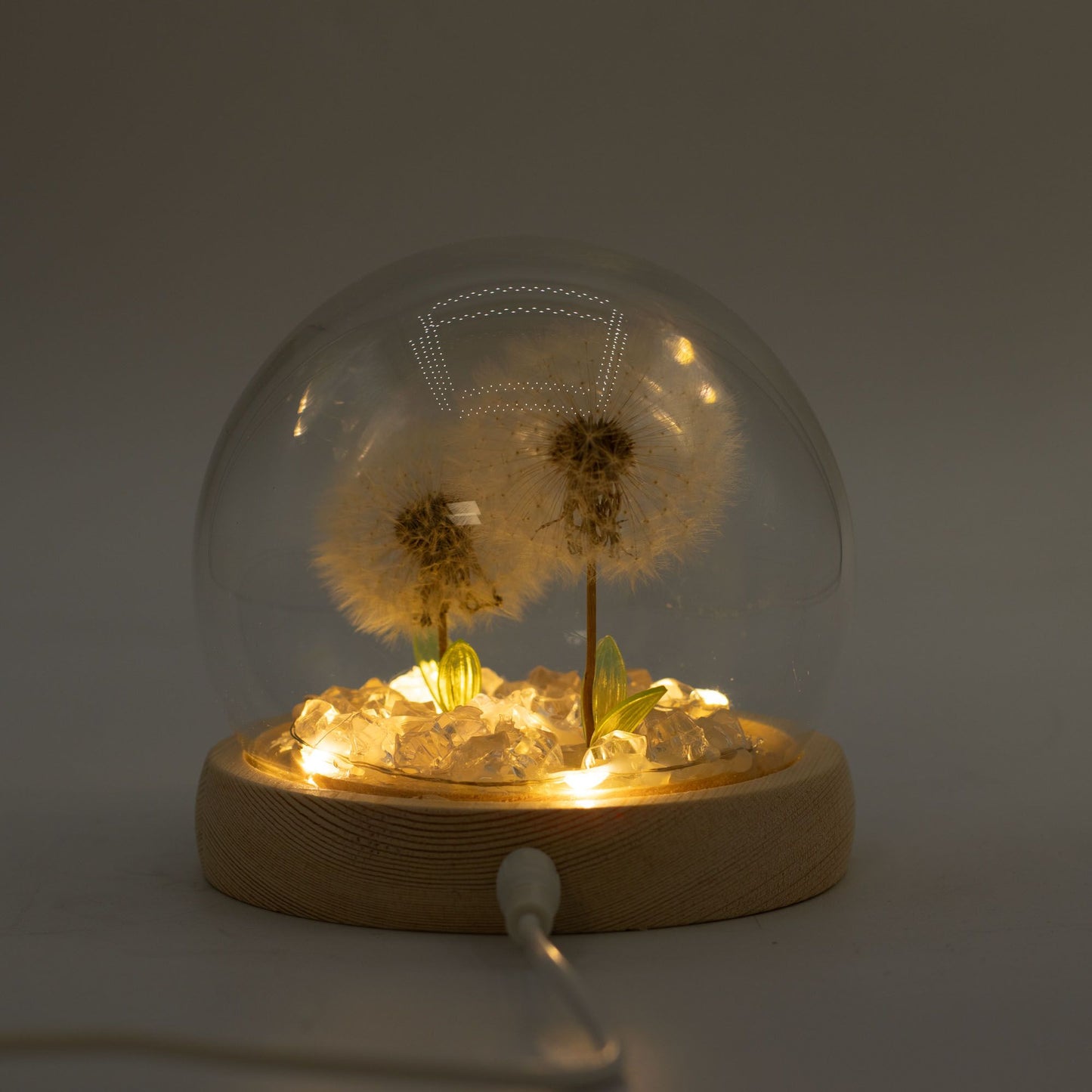 Floral Glow Garden Dome - 2 Dandelions - LED USB - Luna Panther