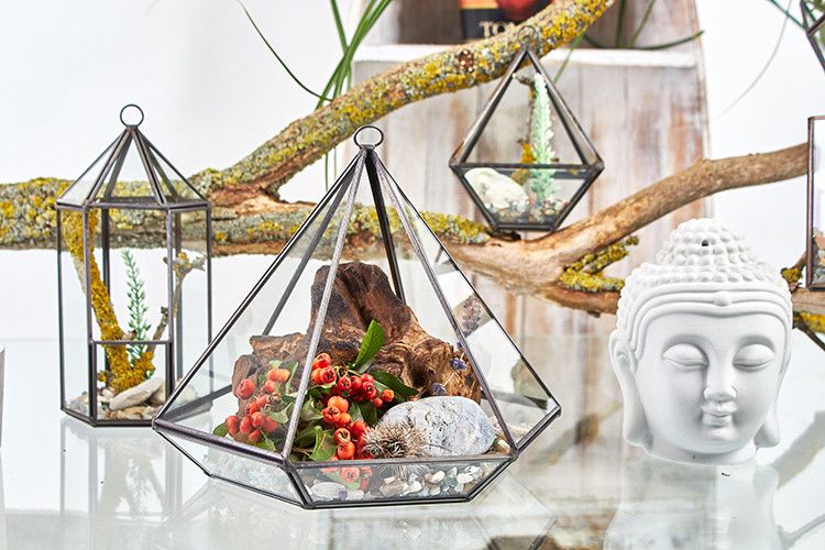 Glass Terrarium - Lantern Shape - Luna Panther