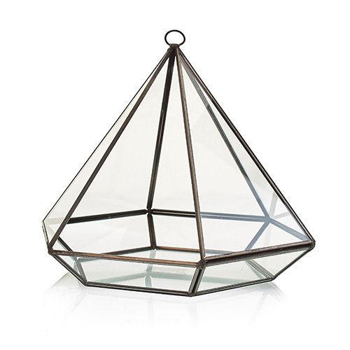 Glass Terrarium - Large Diamond - Luna Panther alternate view