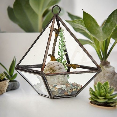 Glass Terrarium - Small Diamond - Luna Panther