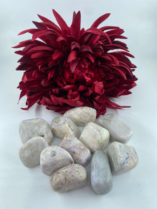 Polished Hackmanite - Tumble Stone featuring natural patterning and unique variations - Luna Panther