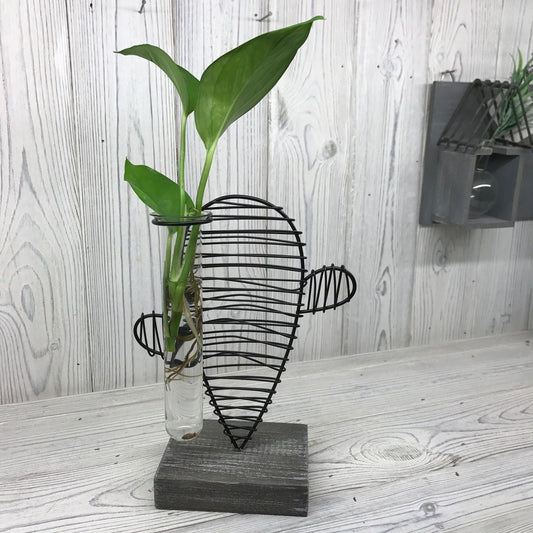Hydroponic Home Decor - Cactus & Lab Pot - Luna Panther