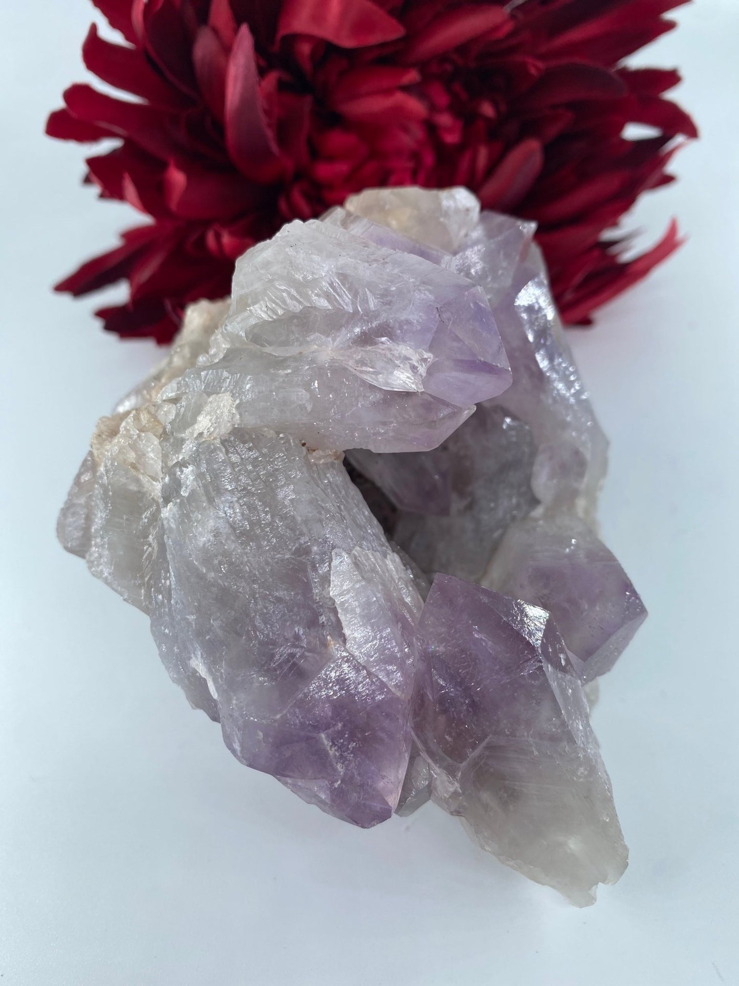 Natural Jacaranda Natural Amethyst Crystal Cluster featuring rich purple colour and natural clarity - Luna Panther