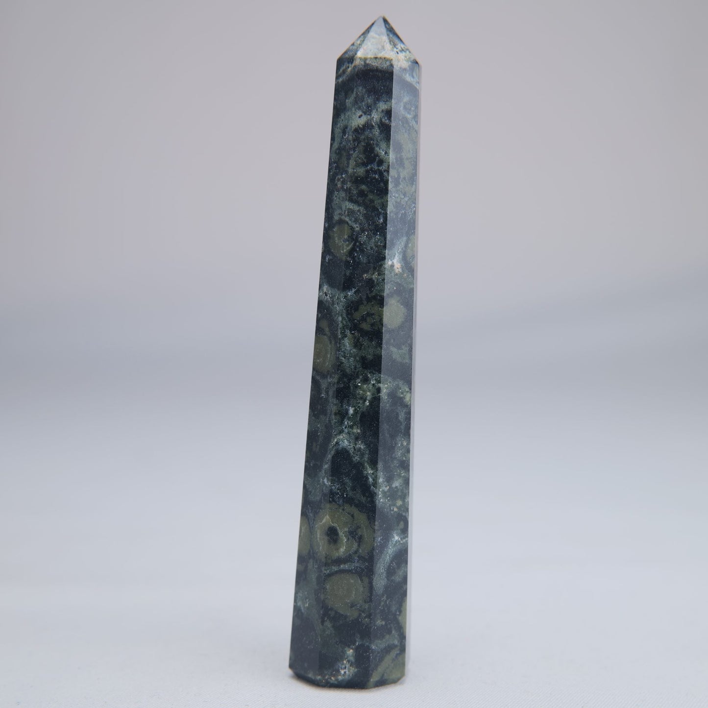 Kambaba Jasper Point 50g - Luna Panther