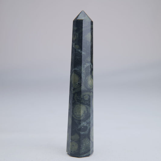 Kambaba Jasper Tower 100mm 45g - Luna Panther alternate view