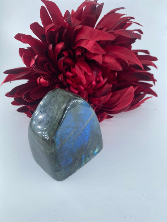 Polished Copy Of Labradorite Free Form 248Grams featuring blue flash and iridescent shimmer - Luna Panther alternate view
