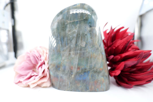 Polished Labradorite Freeform 1480G featuring blue flash and iridescent shimmer - Luna Panther alternate view