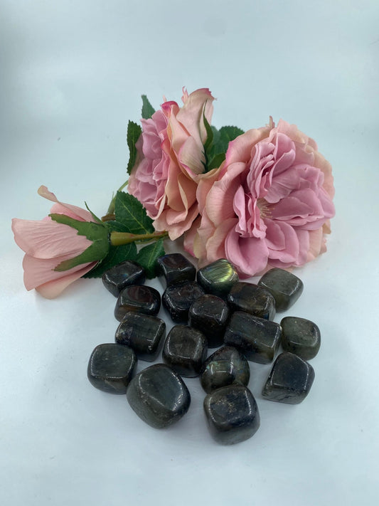 Polished Labradorite - Tumble Stone featuring blue flash and iridescent shimmer - Luna Panther