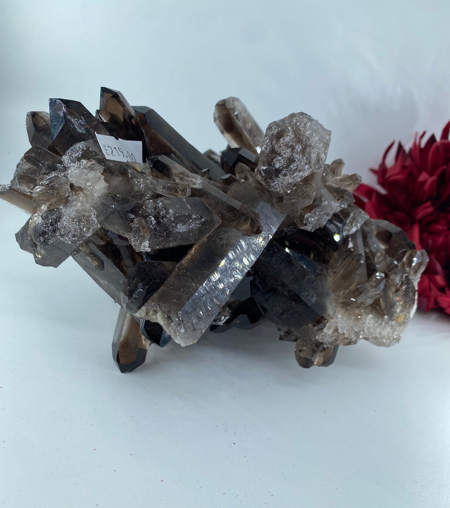 Natural Large Smokey Quartz Cluster featuring natural patterning and unique variations - Luna Panther