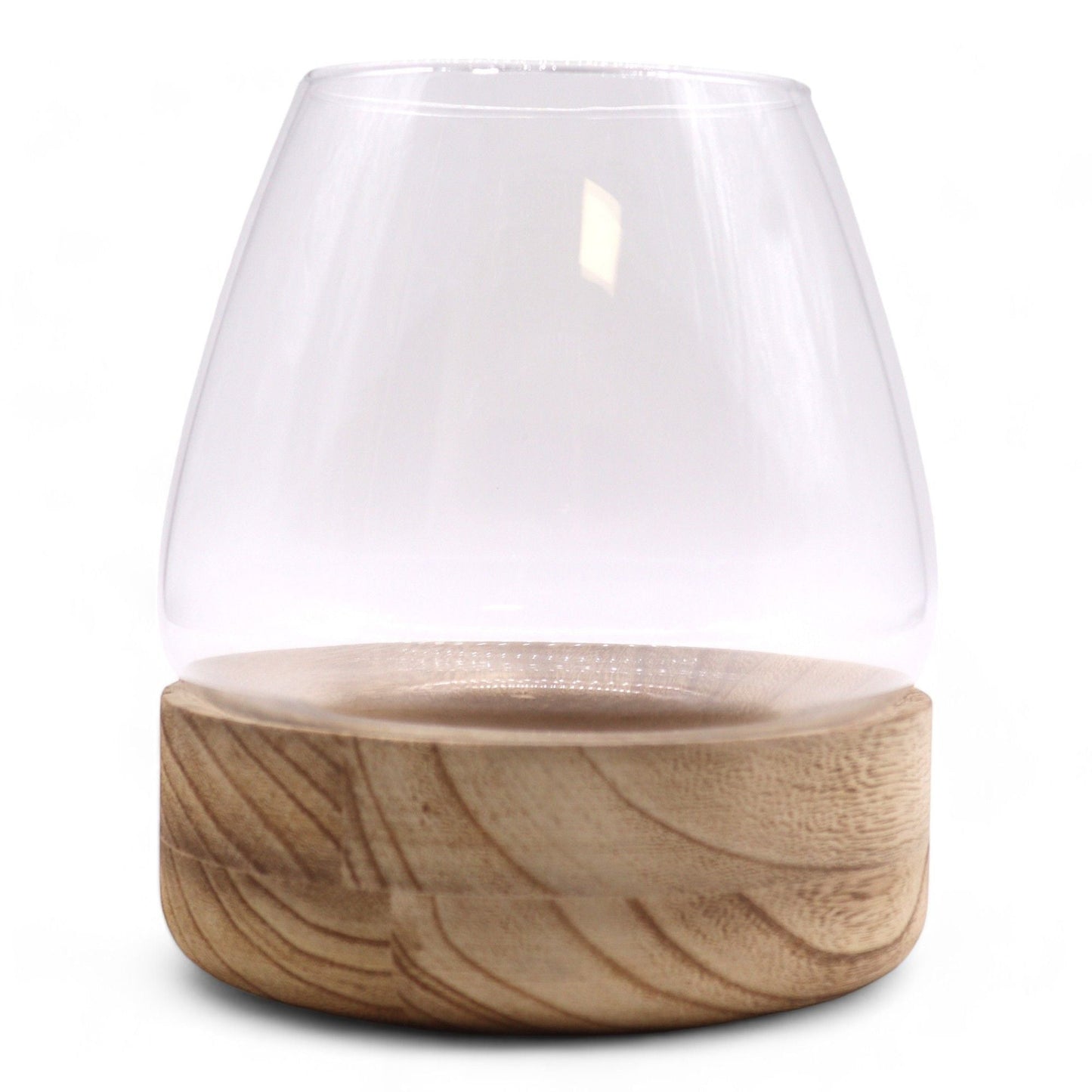 Large Terrarium on Natural Tung Wood - Luna Panther