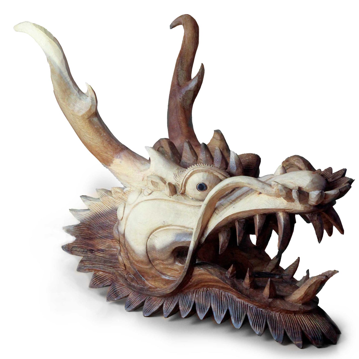 Polished Life Size Dragon Head Carving - 30cm featuring natural patterning and unique variations - Luna Panther