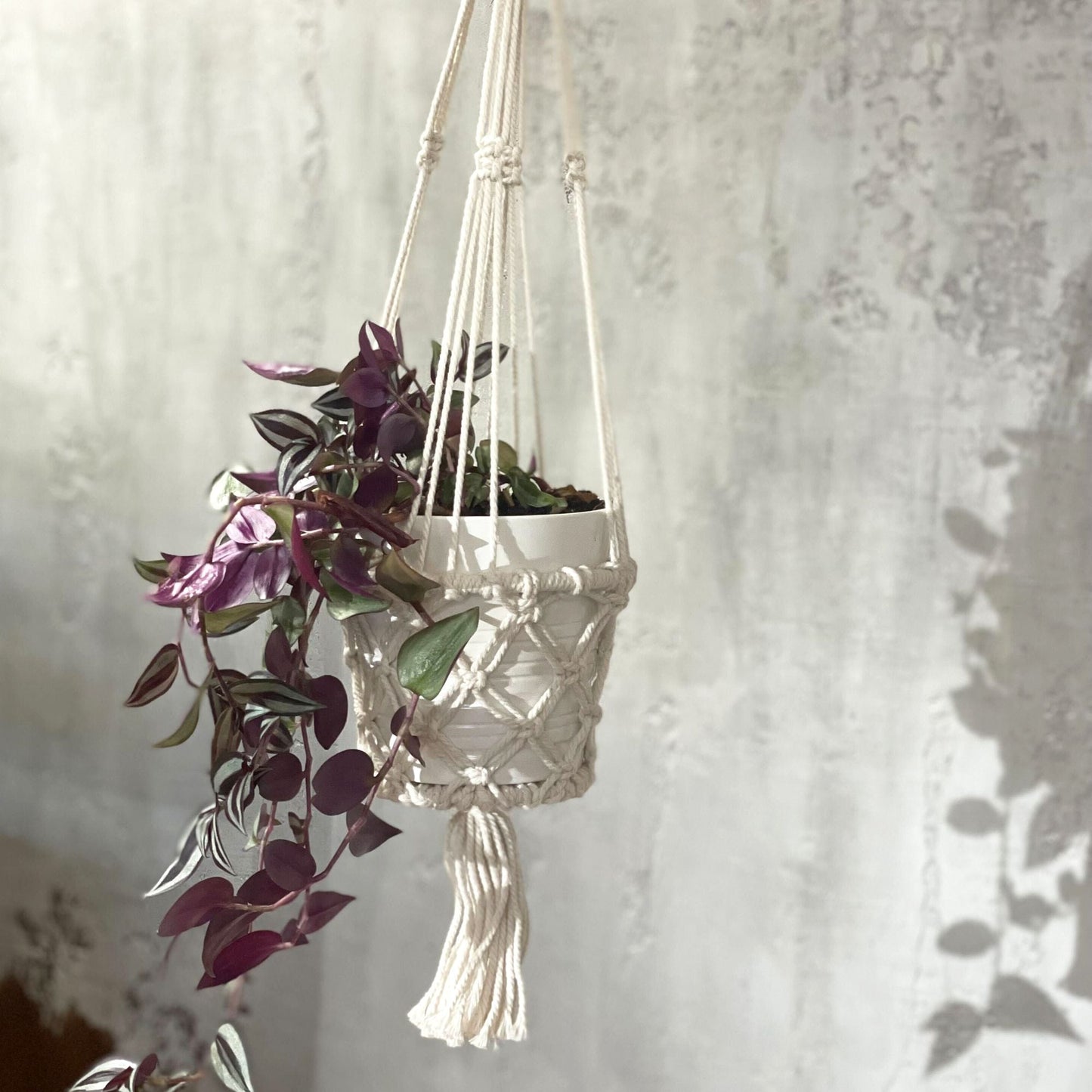 Macrame Pot Holder - Single Small Pot - Luna Panther