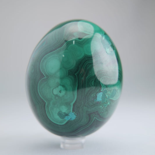 Malachite Flower Egg Congo 619g 77mm - Luna Panther